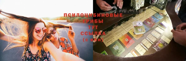герыч Магас